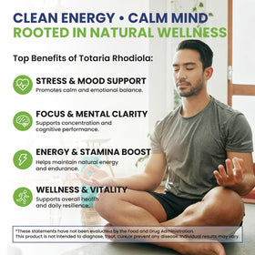 Zoom sur les capsules de Rhodiola Rosea Totaria