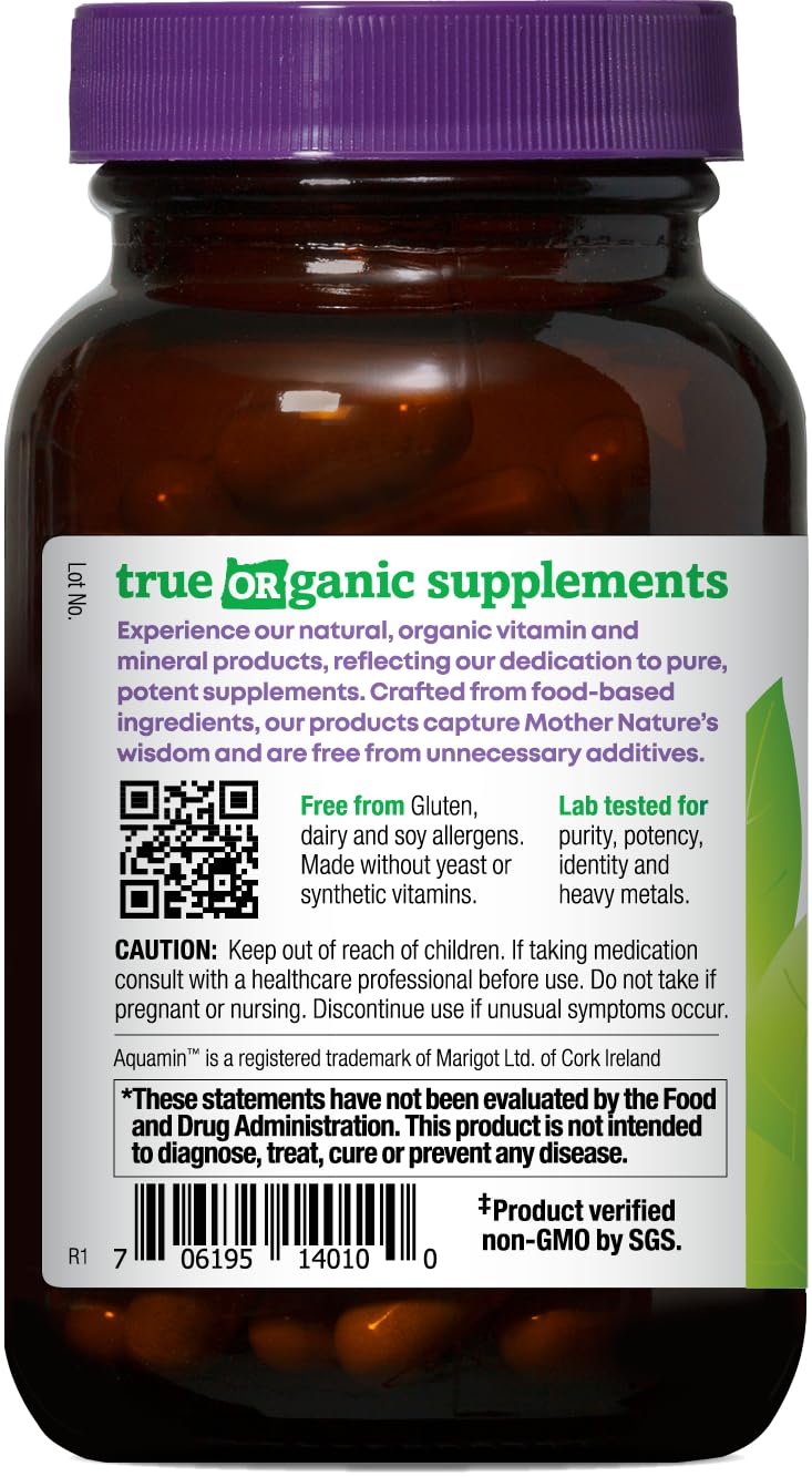 Zoom sur les capsules de zinc bio avec extrait de feuille de goyavier