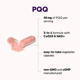 Zoom sur les capsules végétariennes de Micro Ingredients PQQ