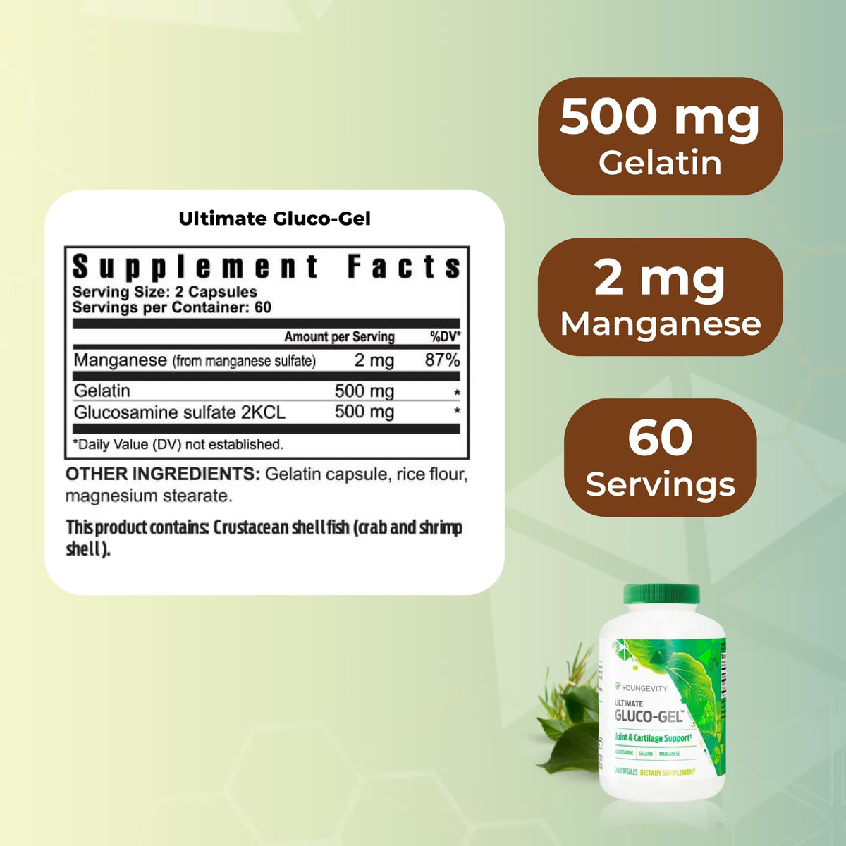 Zoom sur les capsules Youngevity Gluco-Gel