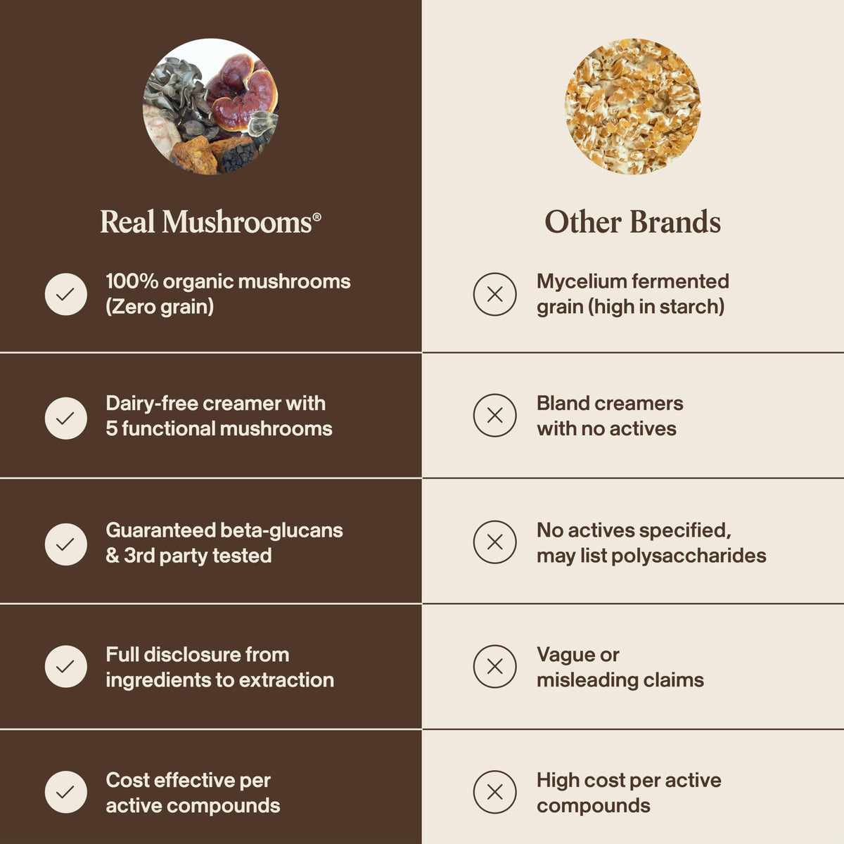 Zoom sur les ingrédients de la crème de coco Real Mushrooms
