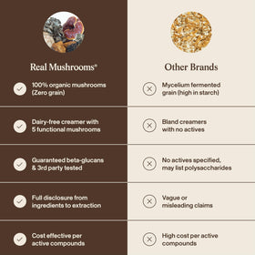 Zoom sur les ingrédients de la crème de coco Real Mushrooms