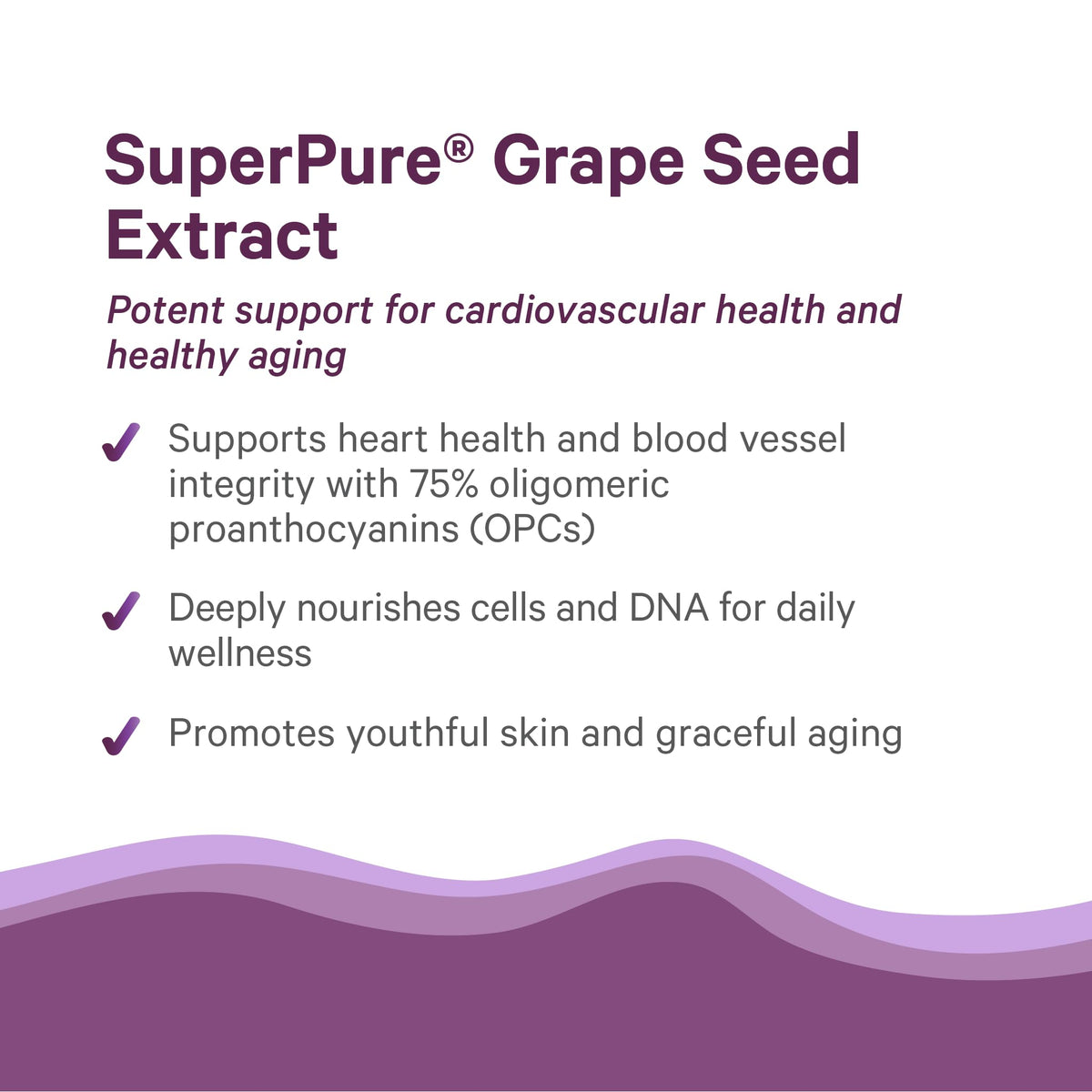 Zoom sur une capsule d'extrait de pépins de raisin PURE SYNERGY