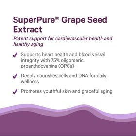 Zoom sur une capsule d'extrait de pépins de raisin PURE SYNERGY