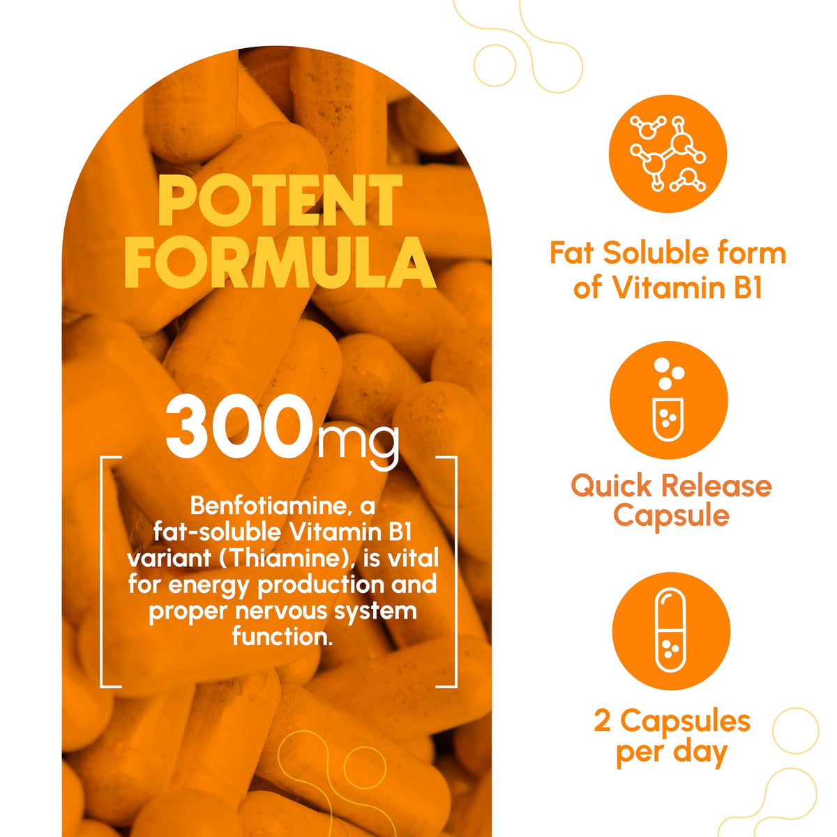Zoom sur une capsule de Benfotiamine 300mg Zenavea