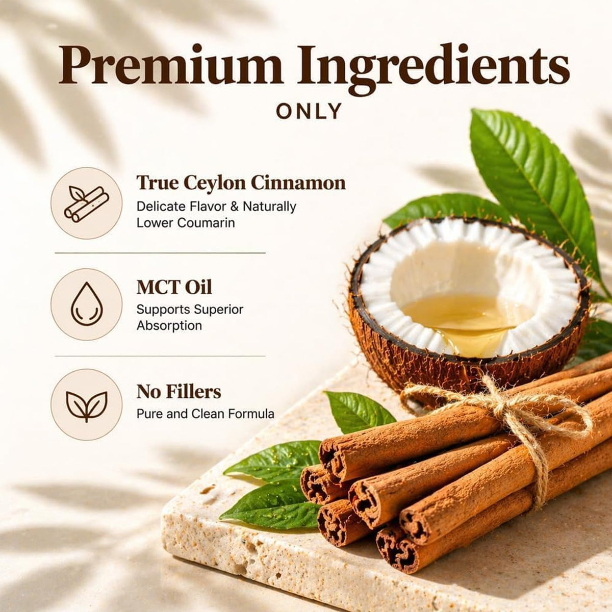 Zoom sur une capsule de Cannelle de Ceylan a balanced routine
