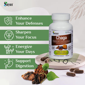 Zoom sur une capsule de champignon Chaga Sayan