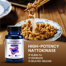 Zoom sur une capsule de Nattokinase 10 800 FU zdiwond
