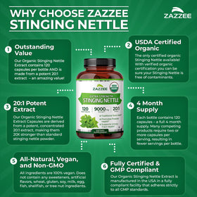 Zoom sur une capsule de Zazzee Extrait d'Ortie Bio
