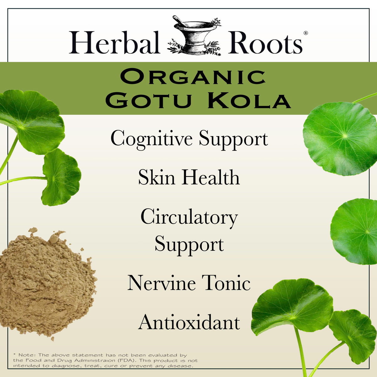 Zoom sur une capsule végétale de Gotu Kola Herbal Roots