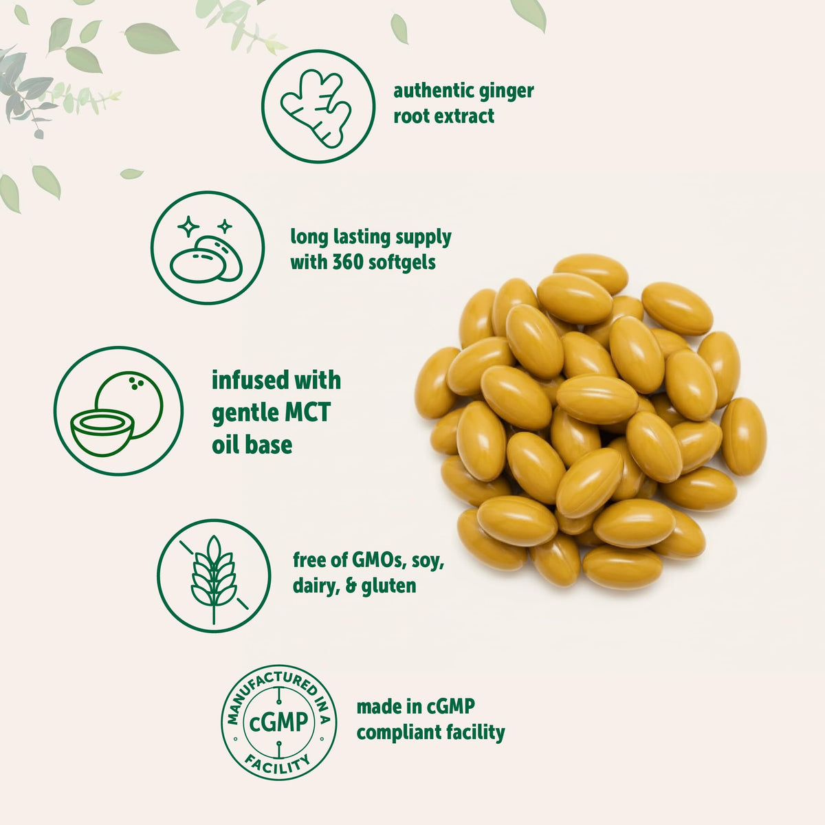 Zoom sur une gélule de Racine de Gingembre Micro Ingredients
