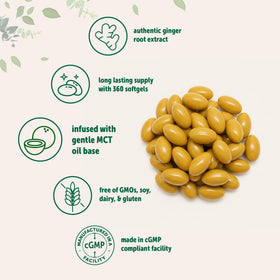 Zoom sur une gélule de Racine de Gingembre Micro Ingredients