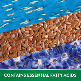 Zoom sur une gélule Omega 3-6-9 Nature's Truth