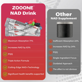 zooone NAD+ 1000mg sachets liquides avec ingrédients