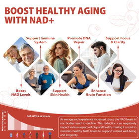 ZOROAHER Complément Liquide NAD+ 1000mg vue latérale