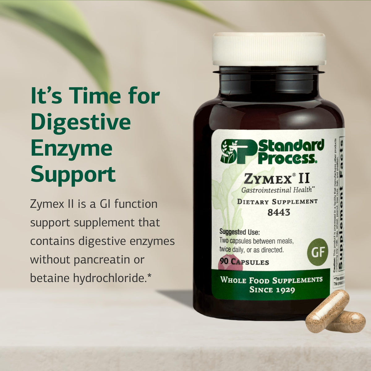 Zymex II Standard Process capsules sur une surface blanche