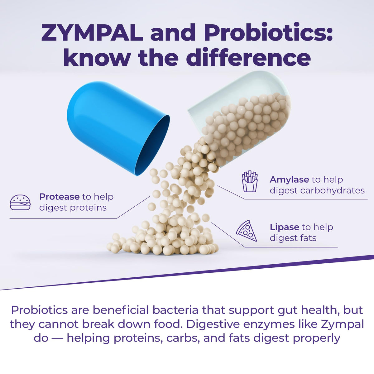 ZYMPAL Complément Alimentaire Multi-Enzymes vue de côté