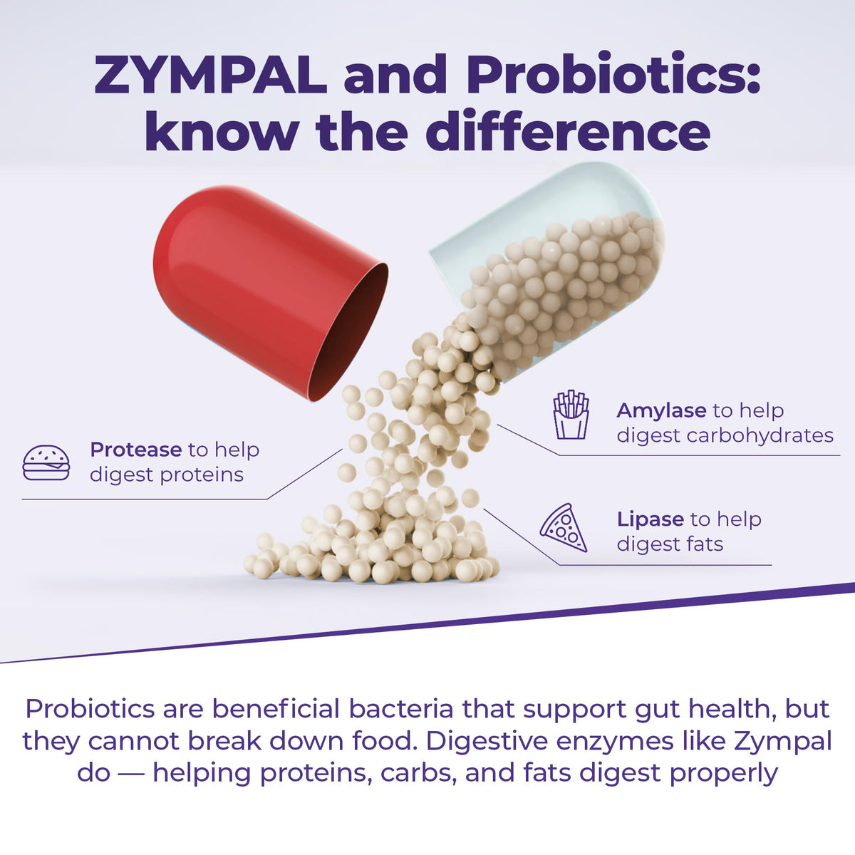 ZYMPAL Enzymes daily 10 000 Unités Lipase USP - vue de côté du flacon