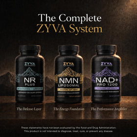 ZYVA Liposomal NMN 500mg capsule open to show content