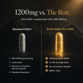 ZYVA NAD+ Pro 1200 capsule vegan sur une surface en bois