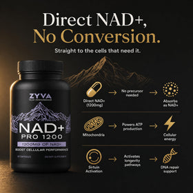 ZYVA NAD+ Pro 1200 capsules vegan montrant la taille et la forme